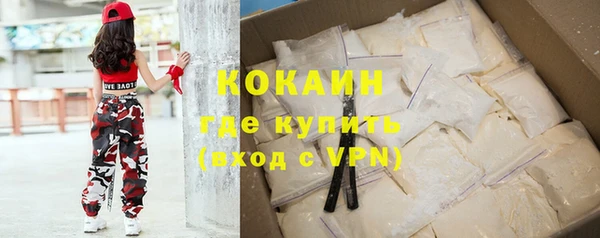 ешки Горняк