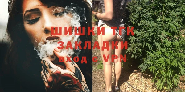 ешки Горняк