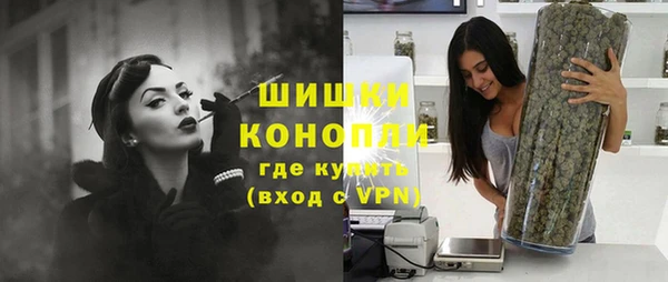 ешки Горняк