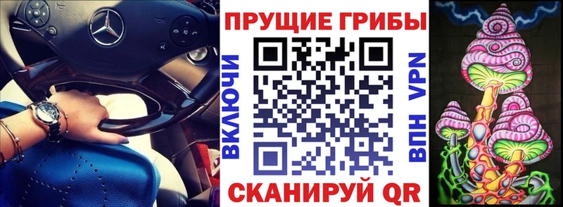 это состав  кракен рабочий сайт  Галлюциногенные грибы Psilocybe  Ессентукская  купить закладку 
